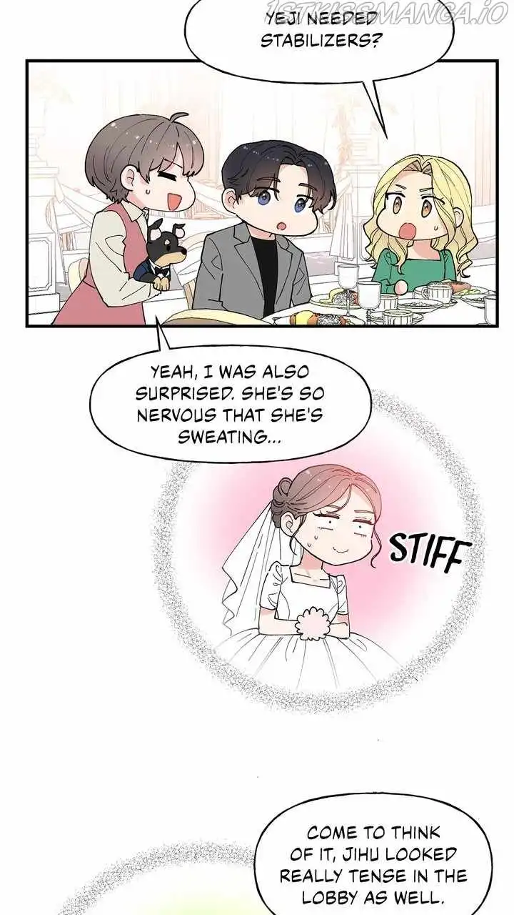 Protect Me, Knight Chapter 59 8